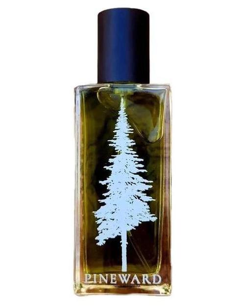 Pineward Perfumes Delfiño - premium fragrance for sophisticated tastes.