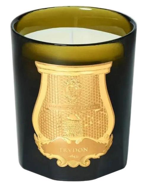 Trudon Dada Candle - premium fragrance for sophisticated tastes.