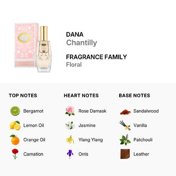 Dana Ladies Chantilly EDT Spray 2 oz Fragrances  (Wholesale) - Luxurious Fragrance Available Online in Hong Kong & China