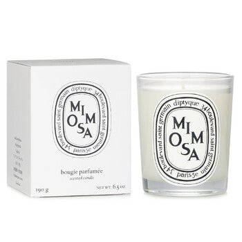 Diptyque Mimosa 6.5 oz Scented Candle (Wholesale) - Luxurious Fragrance Available Online in Hong Kong & China