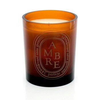 Diptyque Orange Candle Ambre 10.2 oz Scented Candle - Luxurious Fragrance Available Online in Hong Kong & China