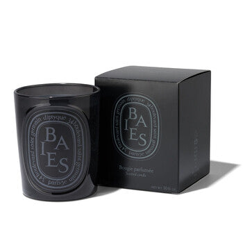 Diptyque Unisex Baies 10 oz Scented Candle (Wholesale) - Luxurious Fragrance Available Online in Hong Kong & China