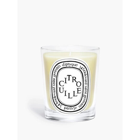 Diptyque Unisex Citrouille 6.7 oz (Tester) Scented Candle (Wholesale) - Luxurious Fragrance Available Online in Hong Kong & China