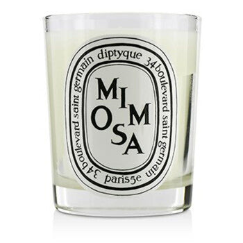 Diptyque Unisex Mimosa Scented Candles 6.5 oz Fragrances (Wholesale) - Luxurious Fragrance Available Online in Hong Kong & China