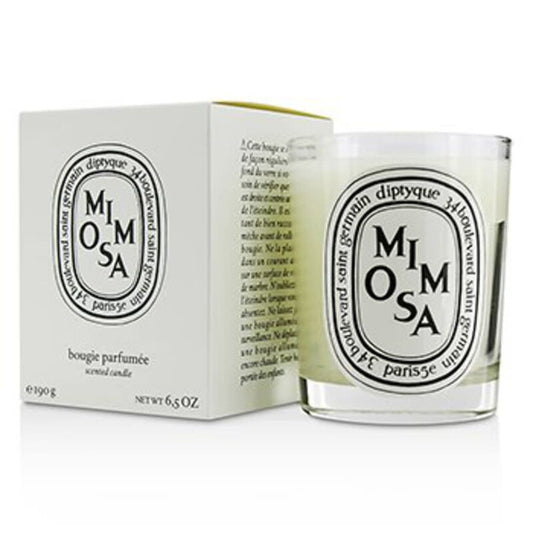 Diptyque Unisex Mimosa Scented Candles 6.5 oz Fragrances (Wholesale) - Luxurious Fragrance Available Online in Hong Kong & China