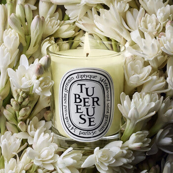 Diptyque Unisex Tubereuse Scented Candle 2.4 oz (Wholesale) - Luxurious Fragrance Available Online in Hong Kong & China