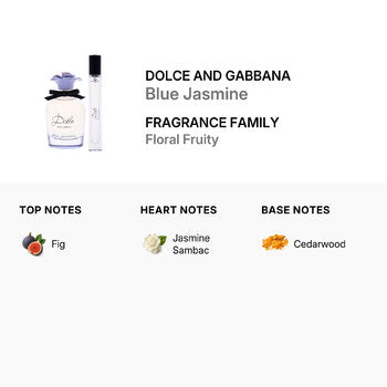 Dolce & Gabbana Ladies Blue Jasmine Gift Set Fragrances (Wholesale) - Luxurious Fragrance Available Online in Hong Kong & China