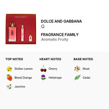 Dolce & Gabbana Ladies Q EDP Spray 3.3 oz (Wholesale) - Luxurious Fragrance Available Online in Hong Kong & China