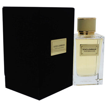 Dolce & Gabbana Ladies Velvet Mimosa Bloom EDP 5.0 oz Fragrances (Wholesale) - Luxurious Fragrance Available Online in Hong Kong & China