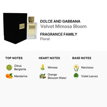 Dolce & Gabbana Ladies Velvet Mimosa Bloom EDP 5.0 oz (Wholesale) - Luxurious Fragrance Available Online in Hong Kong & China