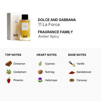 Dolce & Gabbana Dolce & Gabbana Men's No. 11 La Force EDT Spray 1.6 oz Fragrances (Wholesale) - Luxurious Fragrance Available Online in Hong Kong & China