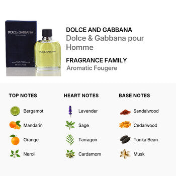 Dolce & Gabbana Dolce & Gabbana/Dolce & Gabbana Edt Spray 6.7 Oz (M) (Wholesale) - Luxurious Fragrance Available Online in Hong Kong & China