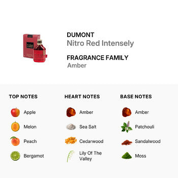Dumont Men's Nitro Red Intensely EDP Spray 3.4 oz Fragrances (Wholesale) - Luxurious Fragrance Available Online in Hong Kong & China