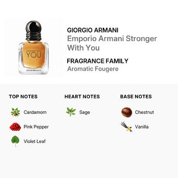 Giorgio Armani Emporio Stronger With You / Giorgio Armani EDT Spray 3.4 oz (100 ml) (m) - Luxurious Fragrance Available Online in Hong Kong & China