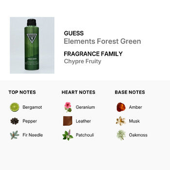 Guess Men's Elements Forest Green Deodorant Body Spray 6 oz (Wholesale) - Luxurious Fragrance Available Online in Hong Kong & China