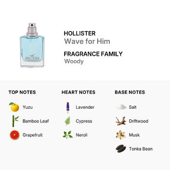 Hollister Men's Wave for Him EDT Spray 1 oz Fragrances (Wholesale) - Luxurious Fragrance Available Online in Hong Kong & China