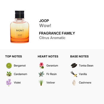 Joop Men's Wow! EDT 1.3 oz (Wholesale) - Luxurious Fragrance Available Online in Hong Kong & China