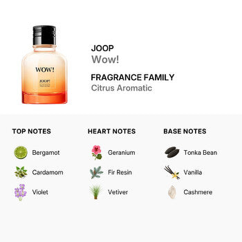 Joop Men's Wow! EDT 1.3 oz (Tester) (Wholesale) - Luxurious Fragrance Available Online in Hong Kong & China