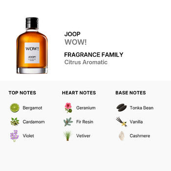 Joop Men's Wow! EDT Spray 2.0 oz (Tester) (Wholesale) - Luxurious Fragrance Available Online in Hong Kong & China