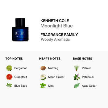Kenneth Cole Men's Moonlight Blue EDT Spray 3.38 oz (Tester) - Luxurious Fragrance Available Online in Hong Kong & China