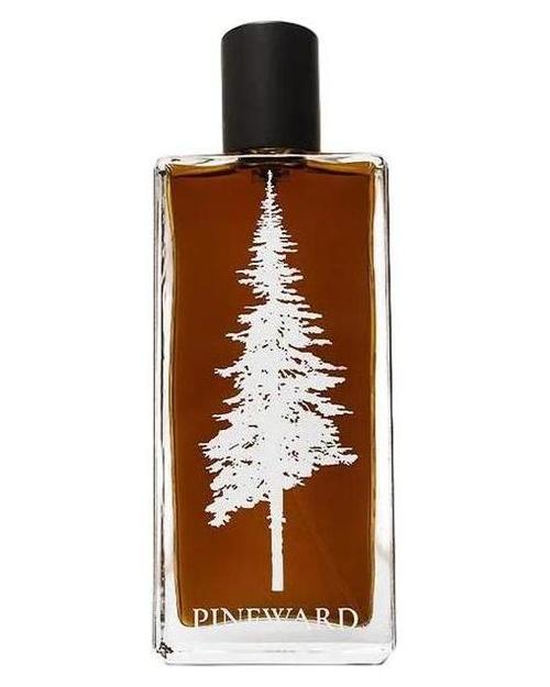 Pineward Perfumes Lime Cola - premium fragrance for sophisticated tastes.