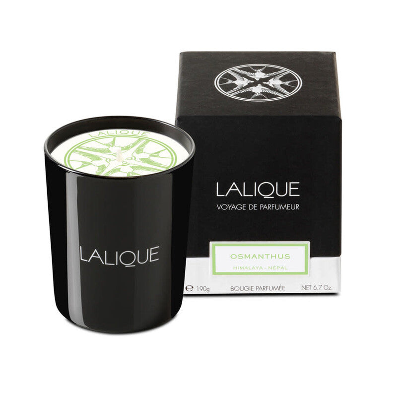 Lalique Unisex L'Osmanthus Scented Candle 6.7 oz Fragrances (Wholesale) - Luxurious Fragrance Available Online in Hong Kong & China