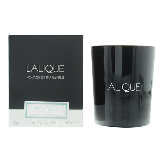 Lalique Unisex Peuplier Aspen Etats-Unis 6.7 oz Scented Candle (Wholesale) - Luxurious Fragrance Available Online in Hong Kong & China