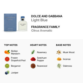 Dolce & Gabbana Light Blue Pour Homme / Dolce & Gabbana EDT Spray 4.2 oz (m) (Wholesale) - Luxurious Fragrance Available Online in Hong Kong & China