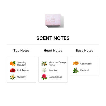Michael Malul Ladies Ktoret 293 Sparkle Gift Set (Wholesale) - Luxurious Fragrance Available Online in Hong Kong & China