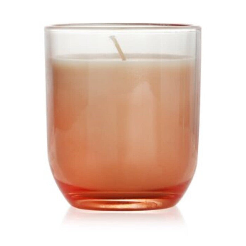 Paddywax Unisex Violet Vanilla 5 oz Scented Candle - Luxurious Fragrance Available Online in Hong Kong & China