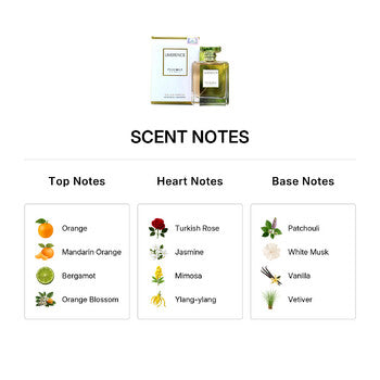 Pendora Scents Unisex Limerence EDP Spray 3.3 oz (Wholesale) - Luxurious Fragrance Available Online in Hong Kong & China