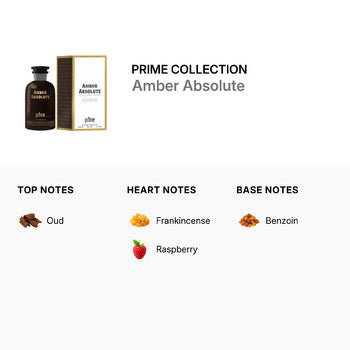 Prime Collection Men's Amber Absolute EDT Spray 3.3 oz Fragrances (Wholesale) - Luxurious Fragrance Available Online in Hong Kong & China