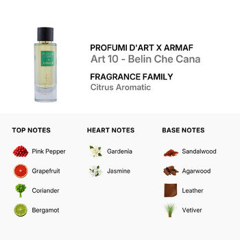 Profumi D'Art X Armaf Unisex Art 10 - Belin Che Cana EDP Spray 3.6 oz Fragrances (Wholesale) - Luxurious Fragrance Available Online in Hong Kong & China