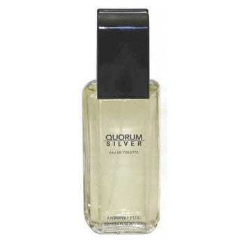Puig Men's Quorum Silver EDT 3.4 oz (Tester) Fragrances (Wholesale) - Luxurious Fragrance Available Online in Hong Kong & China