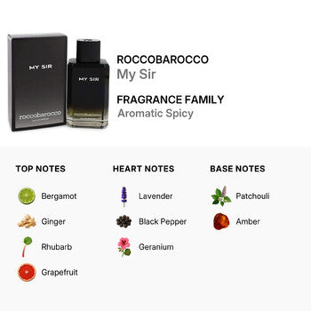 Roccobarocco Men's My Sir EDP 3.4 oz (Wholesale) - Luxurious Fragrance Available Online in Hong Kong & China