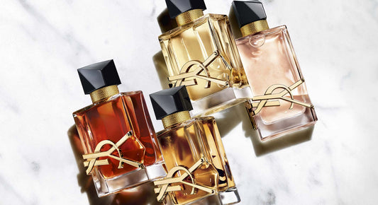 The Signiture and Popular Perfumes from the brand: 聖羅蘭 - 品牌合輯 (Yves Saint Laurent)