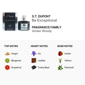 S.T. Dupont Men's Be Exceptional EDT Spray 1.7 oz (Wholesale) - Luxurious Fragrance Available Online in Hong Kong & China