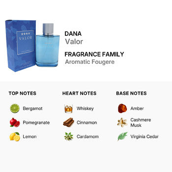 Dana Valor by Dana for Men - 3.4 oz EDT Spray (Wholesale) - Luxurious Fragrance Available Online in Hong Kong & China