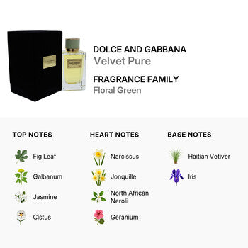 Dolce & Gabbana Velvet Pure by Dolce and Gabbana for Women - 5 oz EDP Spray (Wholesale) - Luxurious Fragrance Available Online in Hong Kong & China