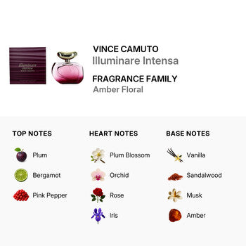 Vince Camuto Ladies Illuminare Intensa EDP 3.4 oz (Wholesale) - Luxurious Fragrance Available Online in Hong Kong & China